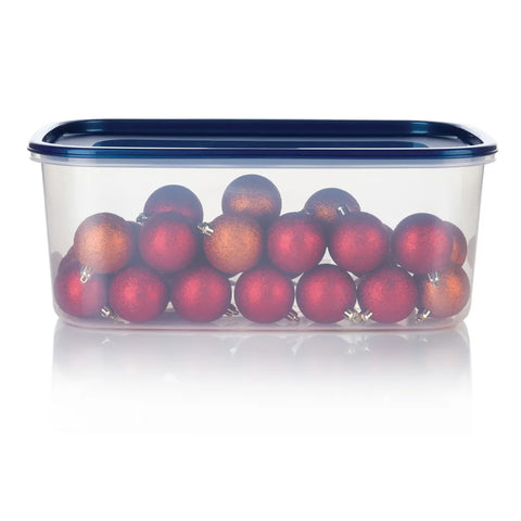 CAJA ORGANIZADORA PLUS 8L AZUL ESTRA