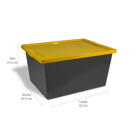 CAJA ORGANIZADORA C/BROCHE 55LT