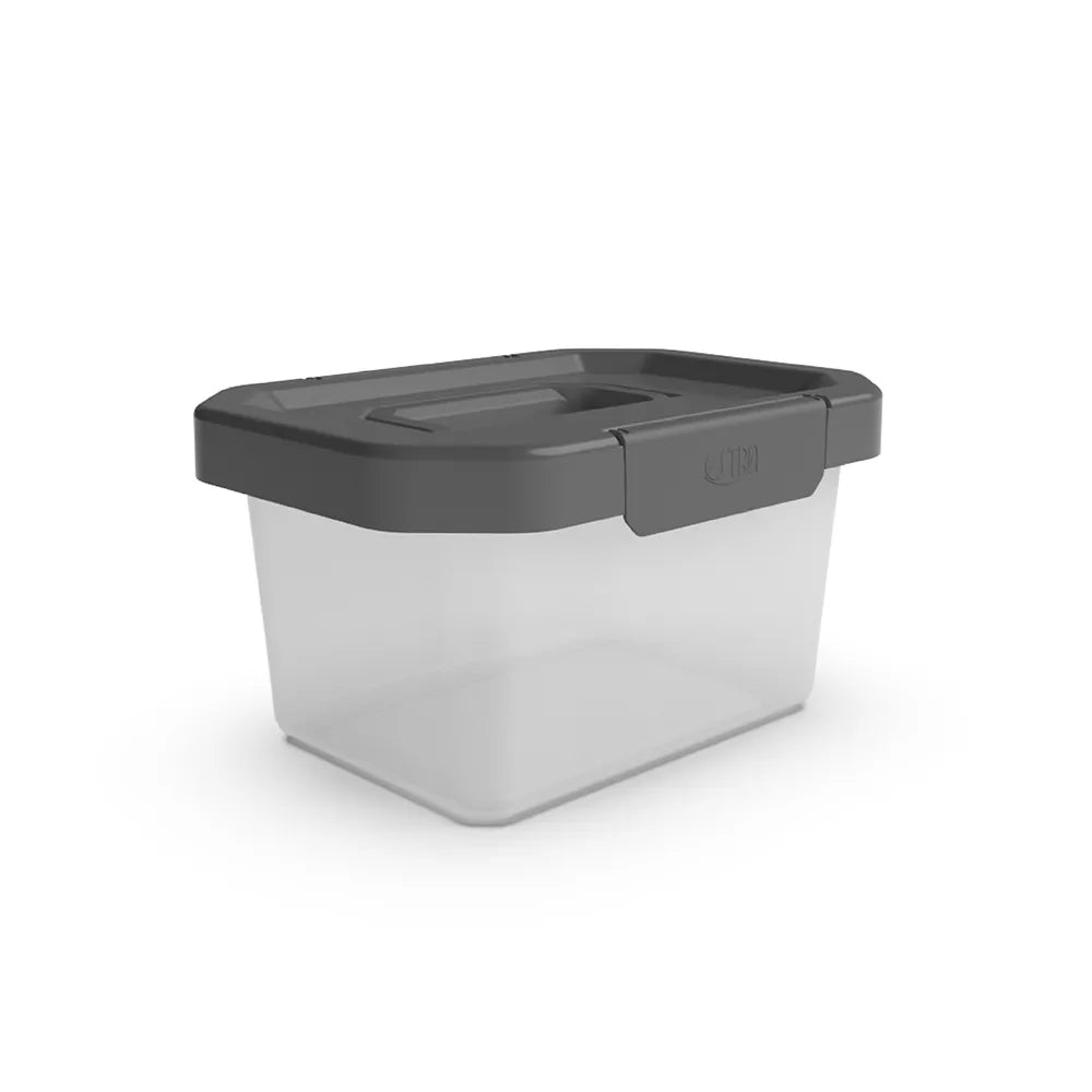 CAJA ORGANIZADORA ESTRABOX 4LT CON MANIJA