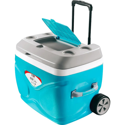 NEVERA INSULADA C RUEDAS 66LT