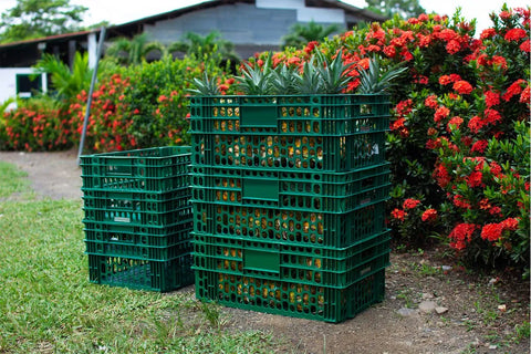 CANASTILLA 60X40X25 ENCAJABLE