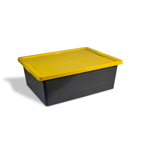 CAJA ORGANIZADORA C/BROCHE 37LT