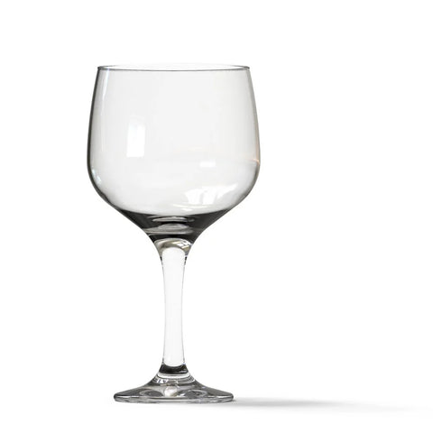 Copa Ginebra AV Lisa