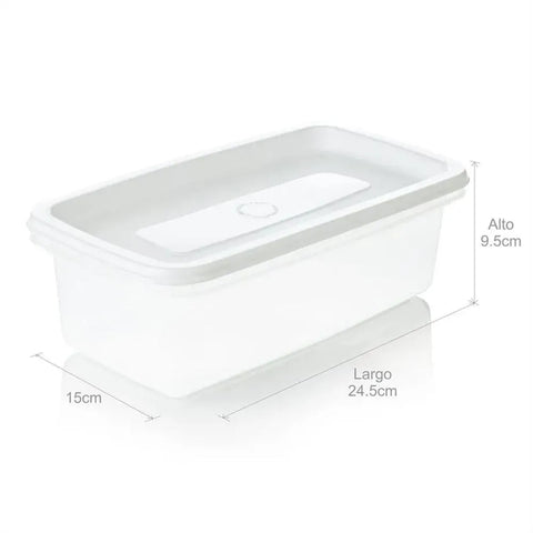 RECIPIENTE PLUS RECTANGULAR/2