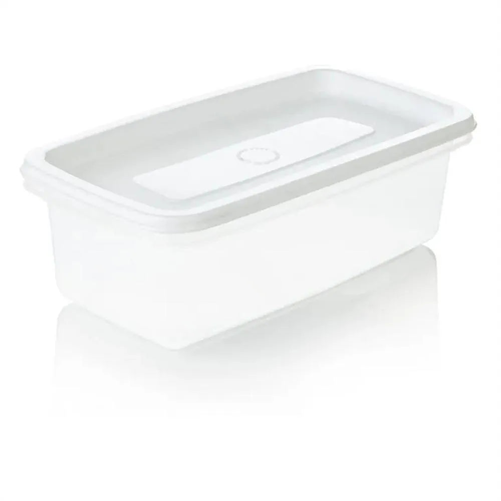 RECIPIENTE PLUS RECTANGULAR/2