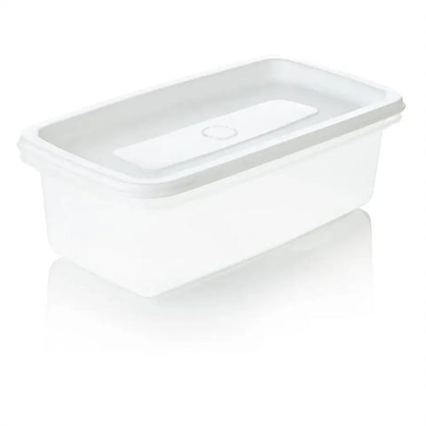 RECIPIENTE PLUS RECTANGULAR/2